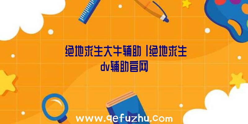 「绝地求生大牛辅助」|绝地求生dv辅助官网
